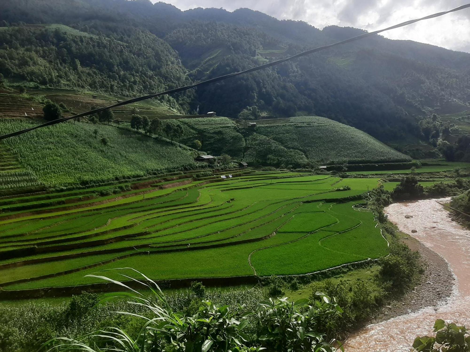 Dong Suoi H'Mong Homestay & Bungalow - Trek & Vegetarian Food Mu Cang Chai Exterior photo